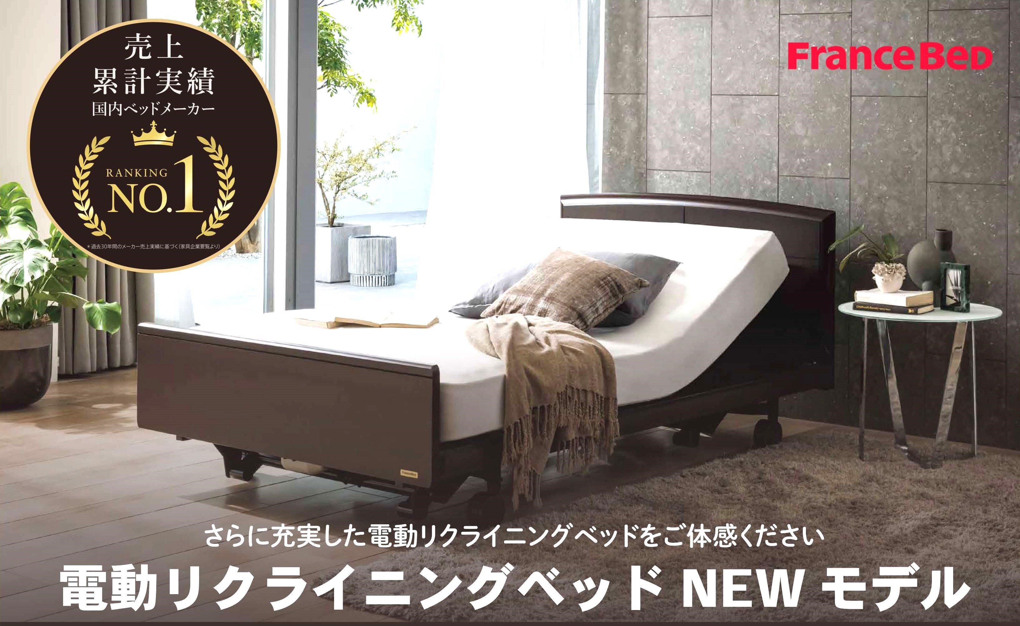 フランスベッド電動リクライニングベッド