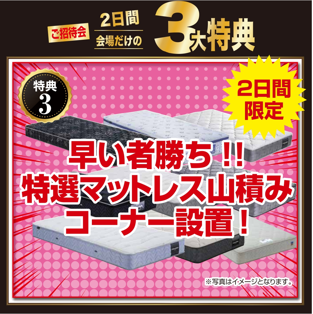 フェアおすすめ情報
